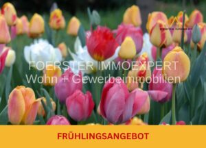 FRÜHLINGSANGEBOT