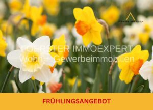 FRÜHLINGSANGEBOT